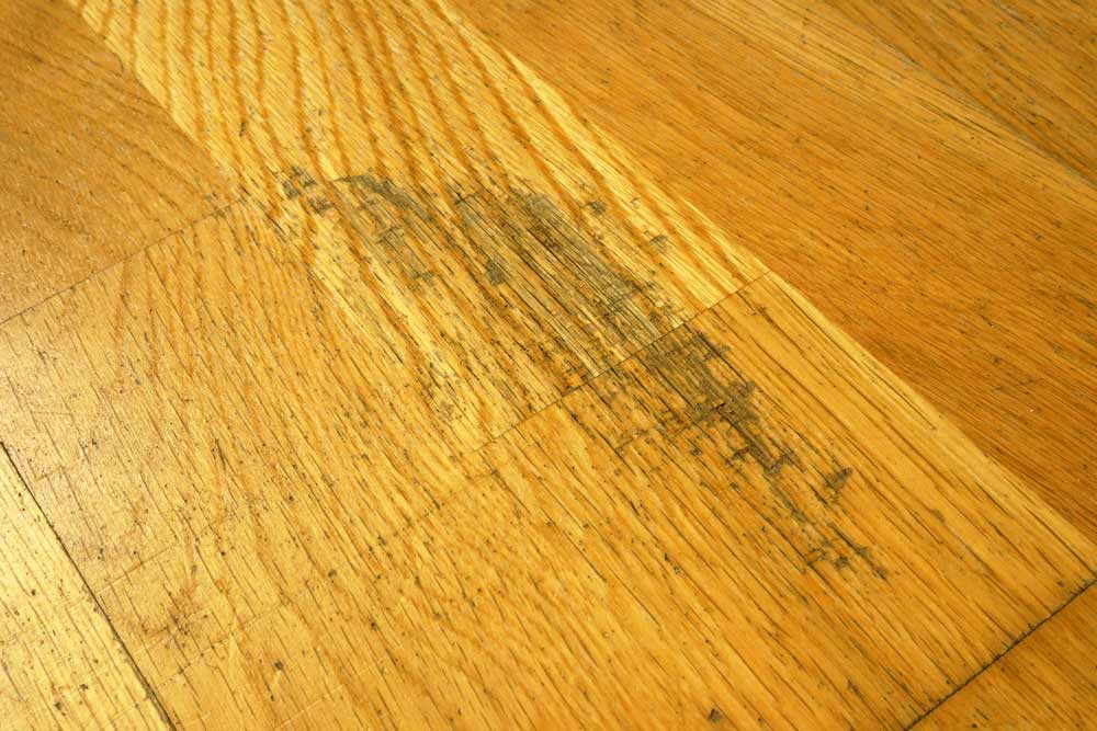 Re Care For A Solid Wood Floor, How To Repair Damaged Hardwood Floors